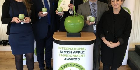 Green Apple Awards Triumph for Bywaters’ Clients