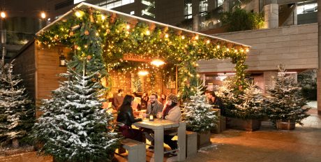 Bywaters Client Broadgate Fights Deforestation with Greenpop 1