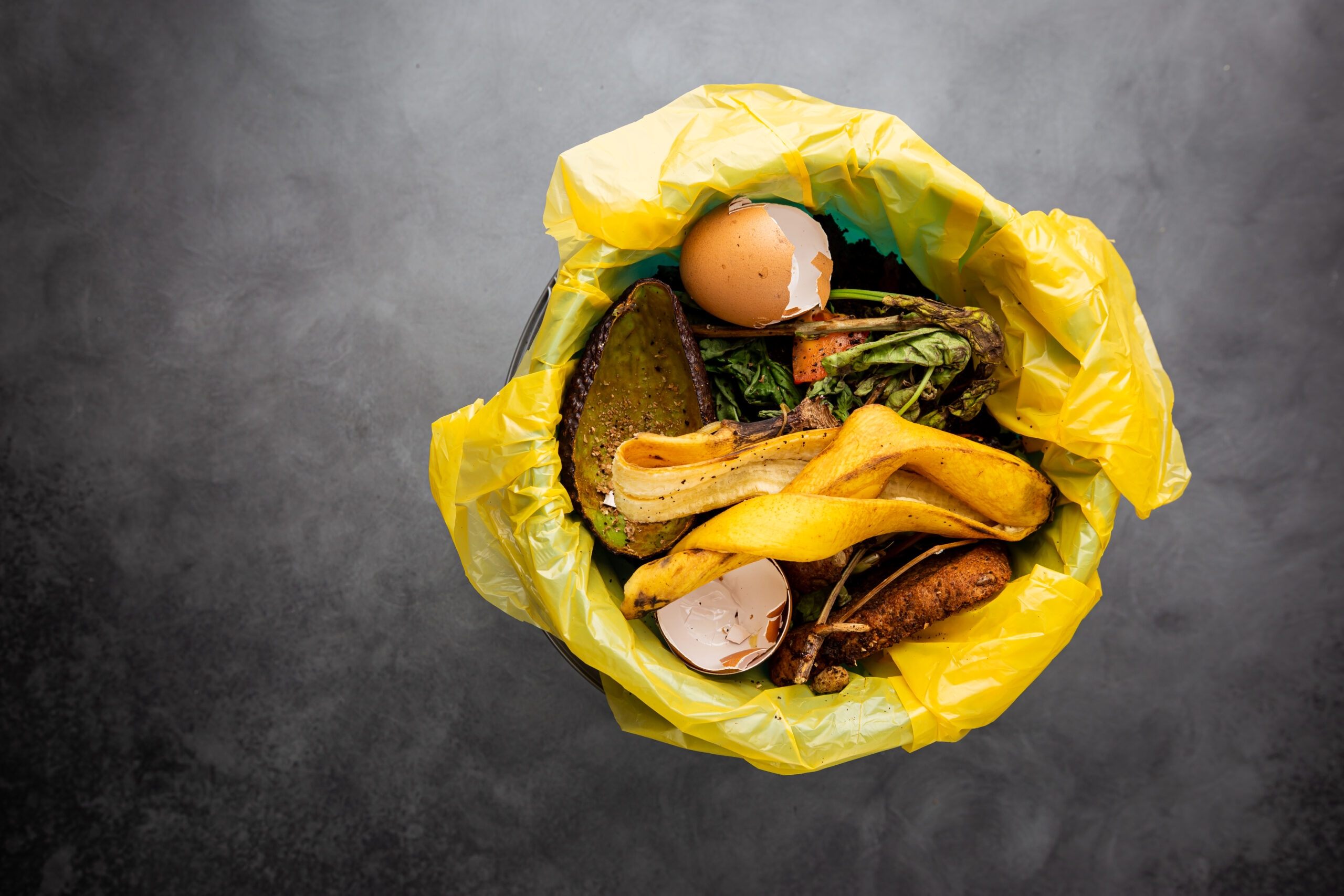 How to recycle food waste Bywaters