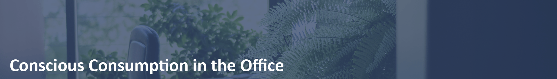 Consumption in the Office