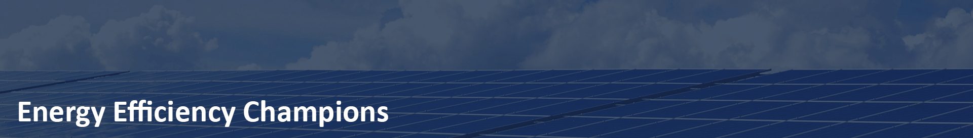 Energy Efficiency champions