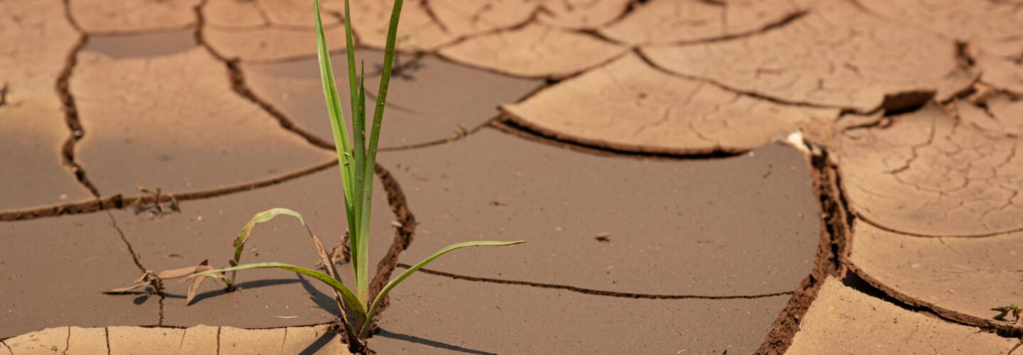 drought